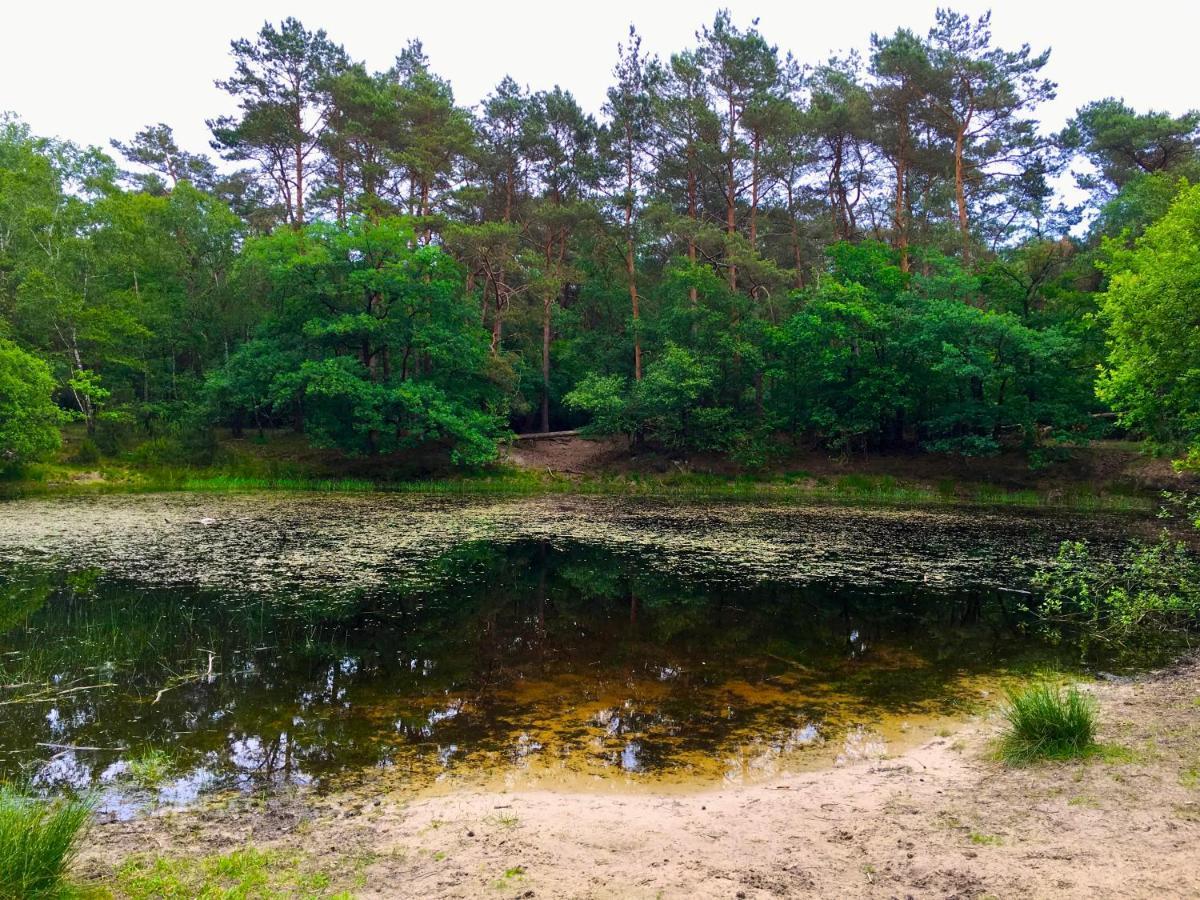 Rode Bosuil: Thuiskomen Op De Veluwe! Otterlo Εξωτερικό φωτογραφία